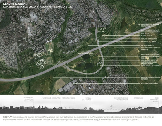 美國新澤西州收費(fèi)公路樹突狀分區(qū)