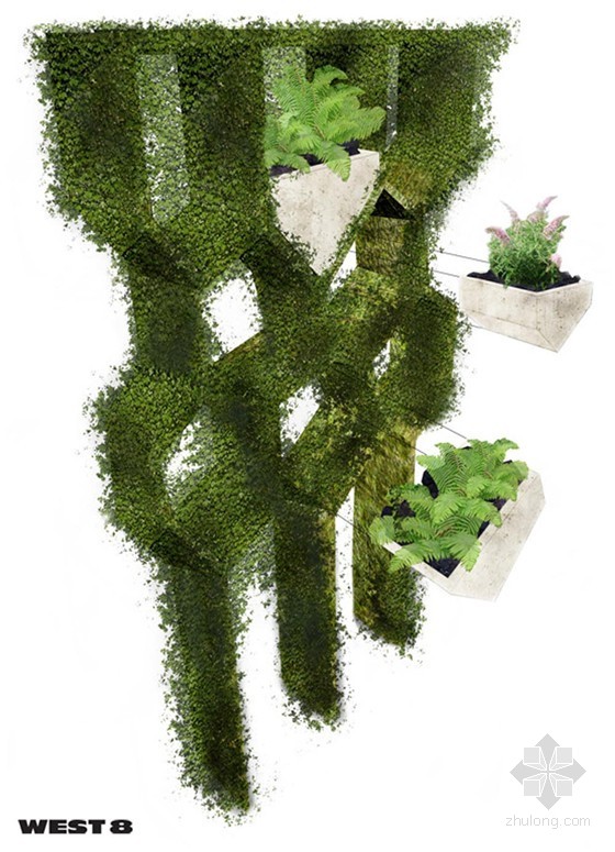 荷蘭馬克西姆公園蜂網(wǎng)狀長廊