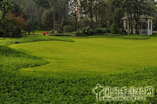 猛追灣 景觀工程 景觀園林