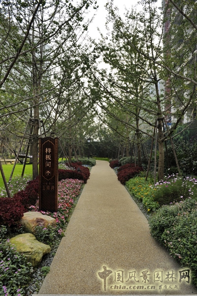 猛追灣 景觀工程 景觀園林