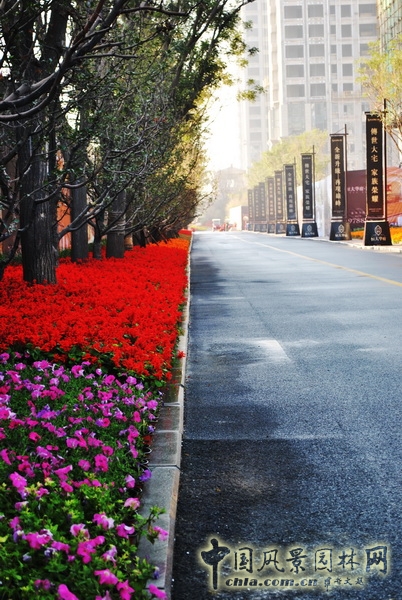 住宅景觀獎 恒大華府 景觀設計 山水比德 中國風景園林網