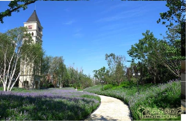 源樹景觀 林語墅 景觀設(shè)計(jì) 園冶杯 住宅景觀
