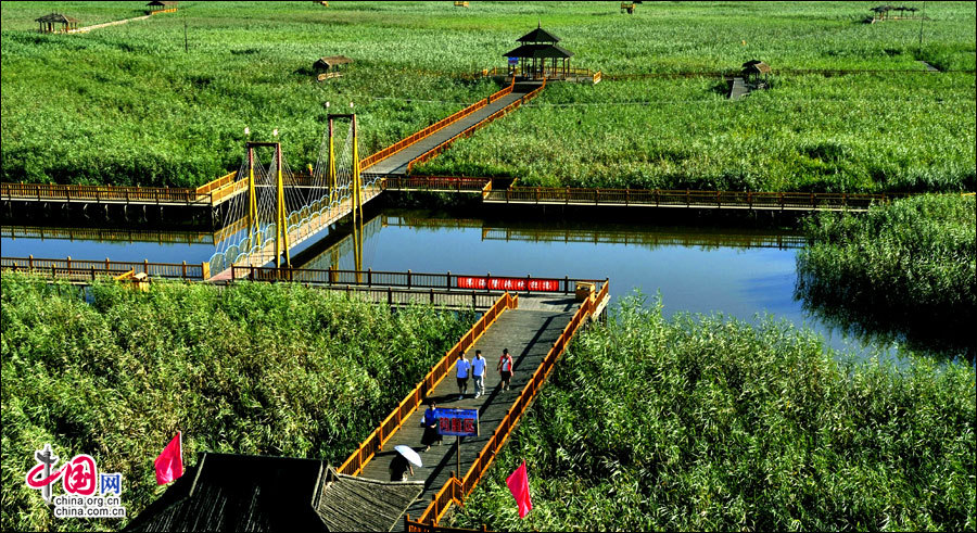 最美濕地 盤錦濕地