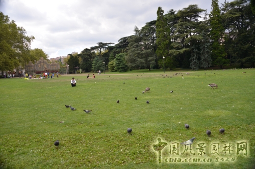 金頭公園大草坪