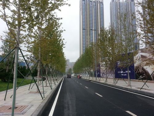 2013年夏季達沃斯會議 達沃斯 大連 盛世紅楓