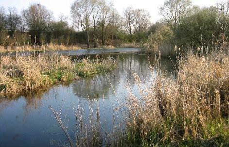 安建國法國景觀設計思想與教育講座