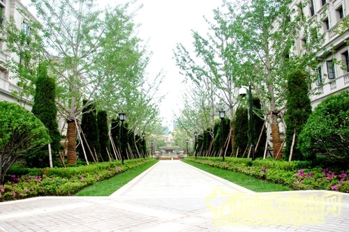 天香園林 景觀工程 景觀園林