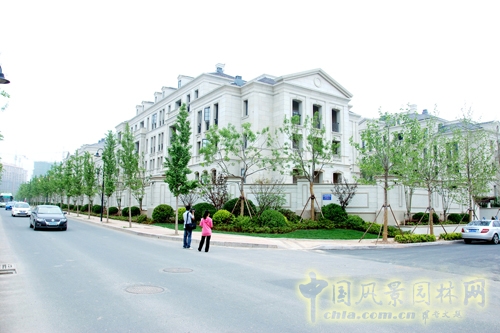 天香園林 景觀工程 景觀園林