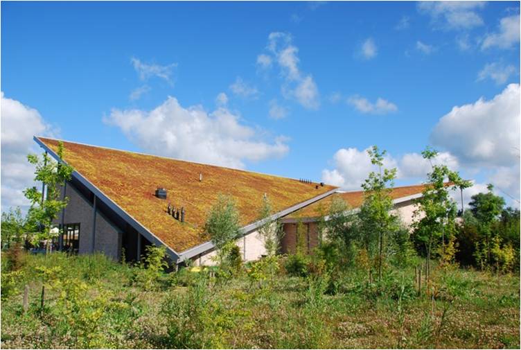 屋頂綠化 仇保興 屋頂綠化大會 立體綠化