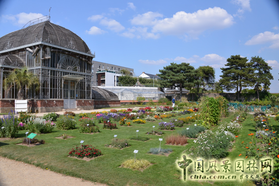 法國 南特 植物園