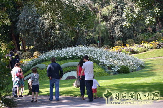 法國 南特 植物園 五色草