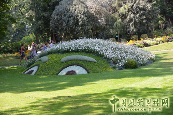 法國 南特 植物園 五色草