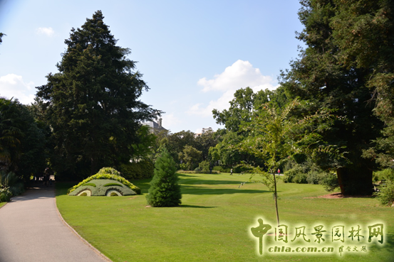 法國 南特 植物園 五色草
