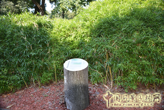 法國(guó) 南特 植物園
