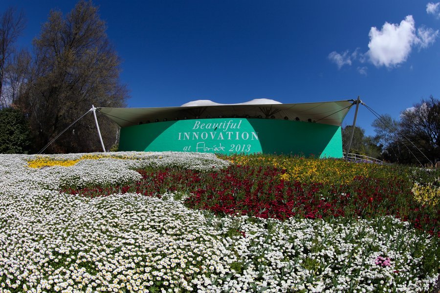 澳大利亞堪培拉花卉節 花卉節 球莖花朵