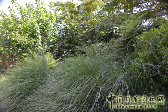 南特 南特鑄造廠 