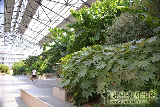 南特 南特鑄造廠 