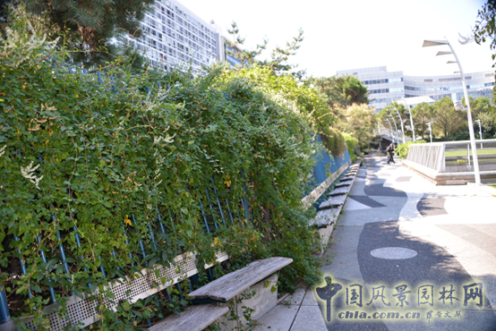 巴黎 蒙帕納斯車站 屋頂花園