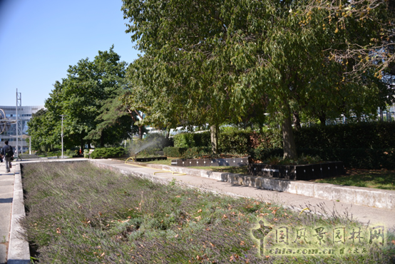 巴黎 蒙帕納斯車站 屋頂花園