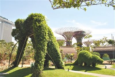 新加坡觀光新景點濱海灣花園由英國景觀事務所Grant Associates設計