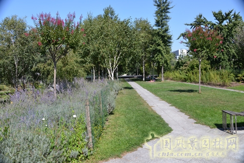 雪鐵龍公園 傳統(tǒng)園林 法國景觀