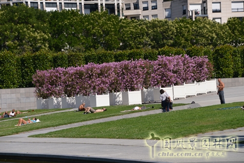 雪鐵龍公園 傳統(tǒng)園林 法國景觀