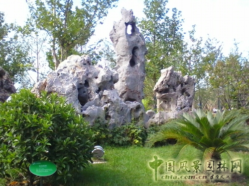 宛平奇石 李曉霞 奇石文化 吉石