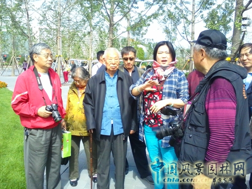 宛平奇石 李曉霞 奇石文化 吉石