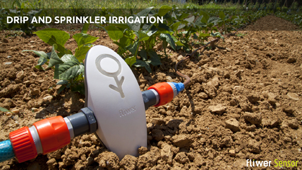 Fliwer：監(jiān)控植物狀態(tài) 實(shí)現(xiàn)遠(yuǎn)程澆水
