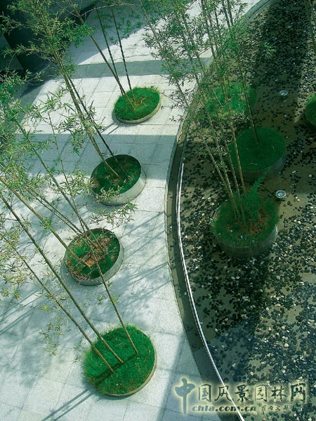 深圳平安金融大學(xué) 景觀設(shè)計 何小強(qiáng) 設(shè)計師 中國風(fēng)景園林網(wǎng)