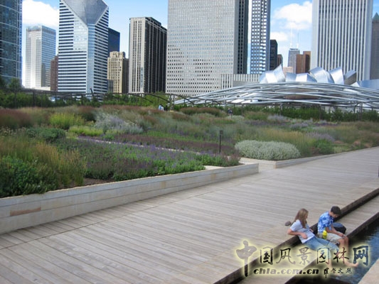 石質(zhì)表面的可當(dāng)做座椅的臺階排列在南向的步道兩側(cè)