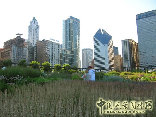 夏天黃昏時分的光亮空間