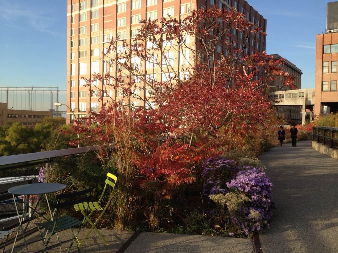 園林景觀 景觀設計 屋頂綠化大會 赴美考察