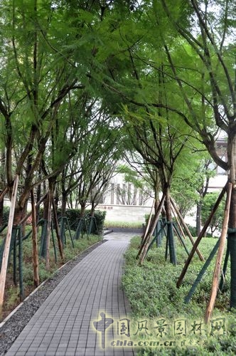 住宅景觀獎 園林工程 重慶星耀天地會所示范區(qū)