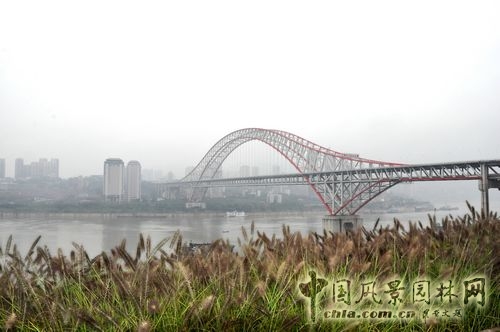 住宅景觀獎 園林工程 重慶星耀天地會所示范區