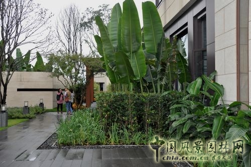 住宅景觀獎 園林工程 重慶星耀天地會所示范區