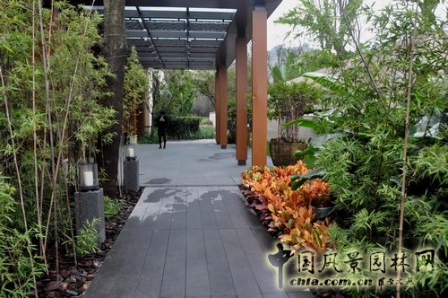 住宅景觀獎 園林工程 重慶星耀天地會所示范區