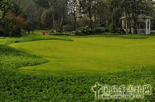 住宅景觀獎 園林景觀 成都世貿(mào) 成都世貿(mào)猛追灣項目