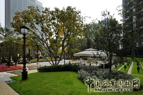 住宅景觀獎 園林景觀 成都世貿 成都世貿猛追灣項目