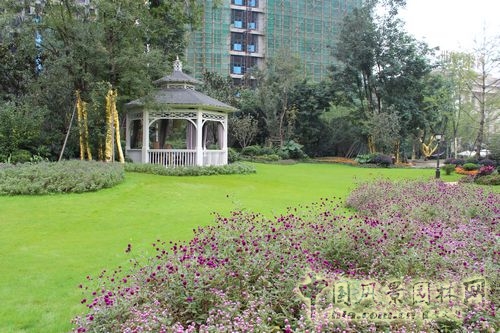 住宅景觀獎 園林景觀 成都世貿 成都世貿猛追灣項目