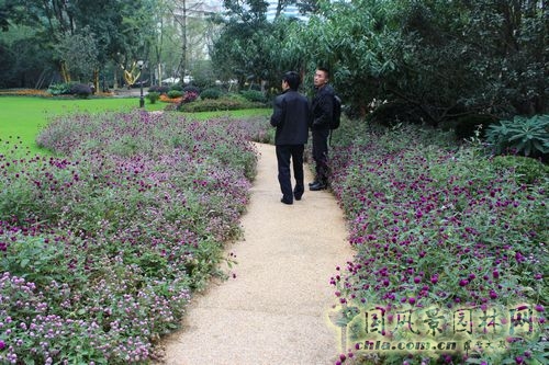 住宅景觀獎 園林景觀 成都世貿 成都世貿猛追灣項目