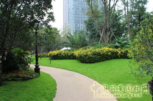 住宅景觀獎 園林景觀 成都世貿 成都世貿猛追灣項目