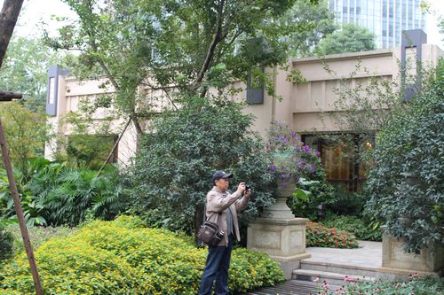 住宅景觀獎 園林景觀 成都世貿 成都世貿猛追灣項目 小區入口