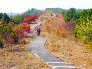 西山國家森林公園 