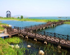 水生態(tài)設計