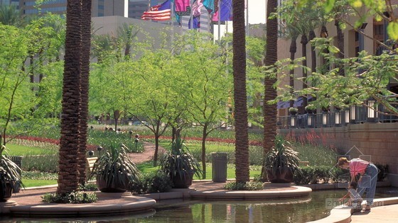 SWA設計的美國亞利桑那州鳳凰城