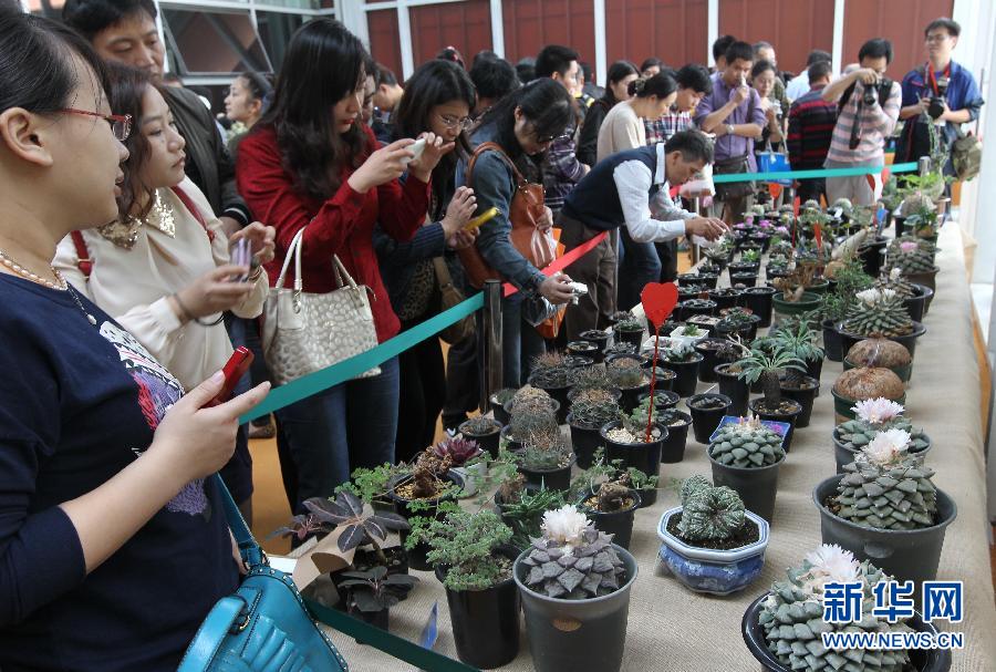 2013上海國際多肉植物展