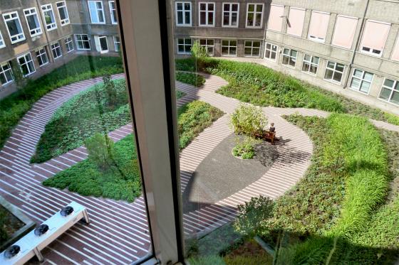 荷蘭阿姆斯特丹大學