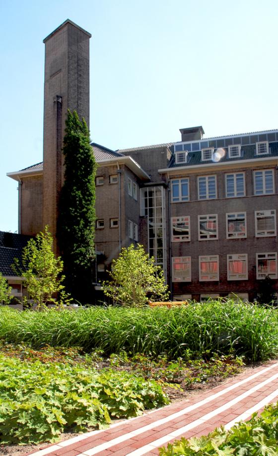 荷蘭阿姆斯特丹大學