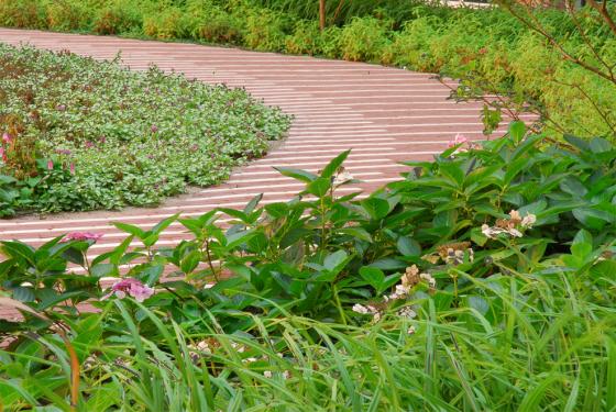 荷蘭阿姆斯特丹大學